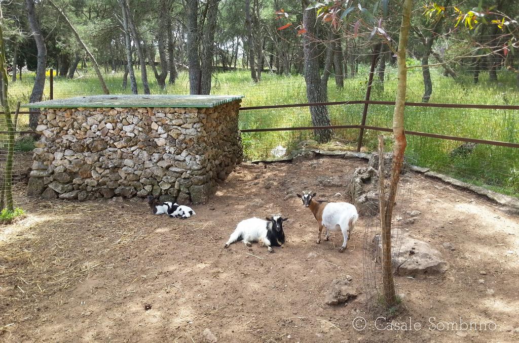 Casale Sombrino Guest House Supersano ภายนอก รูปภาพ